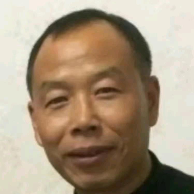 北方的狼16388
