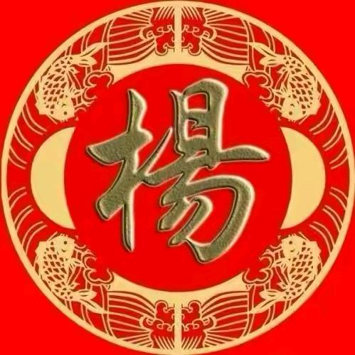 🈚️极
