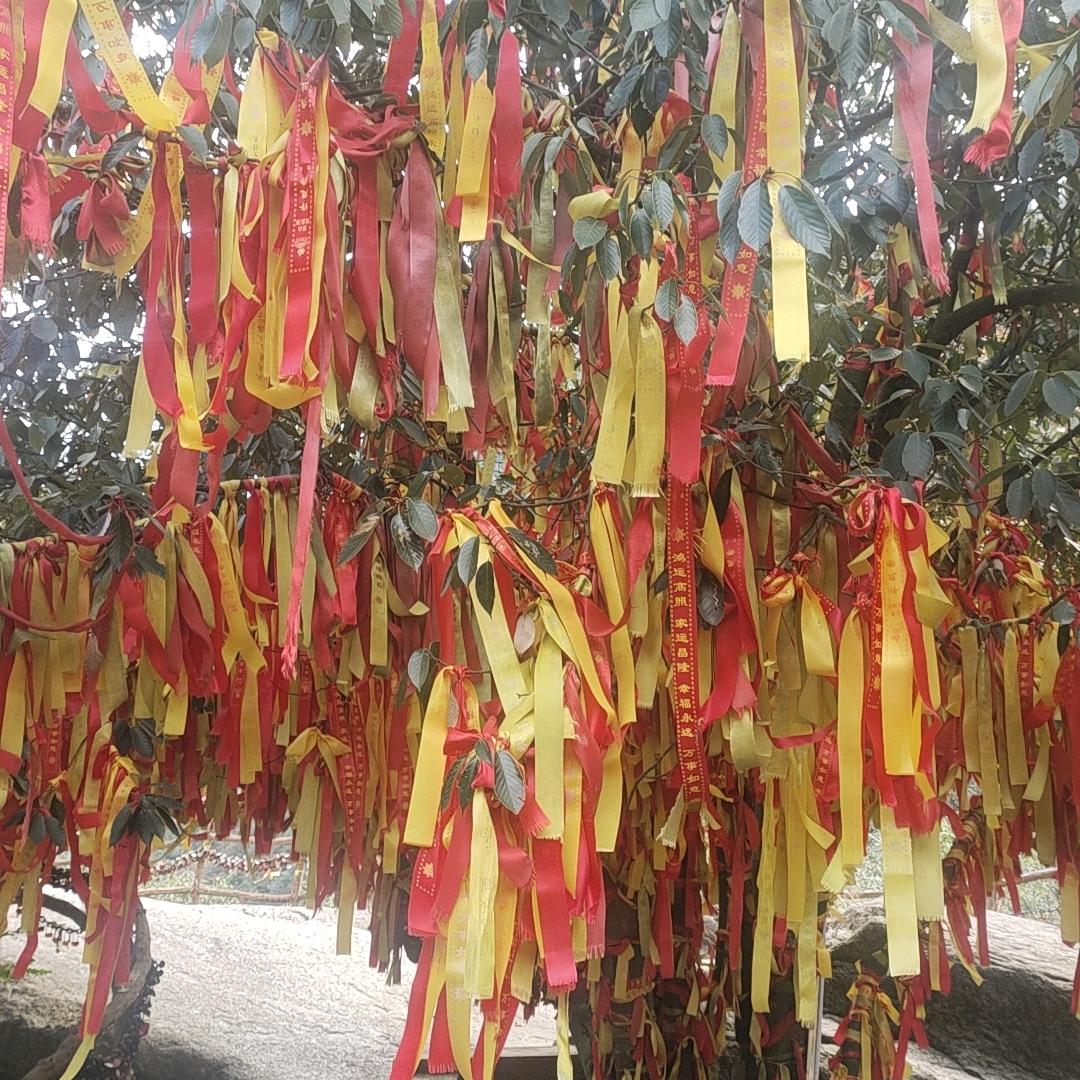 遥远的幸福