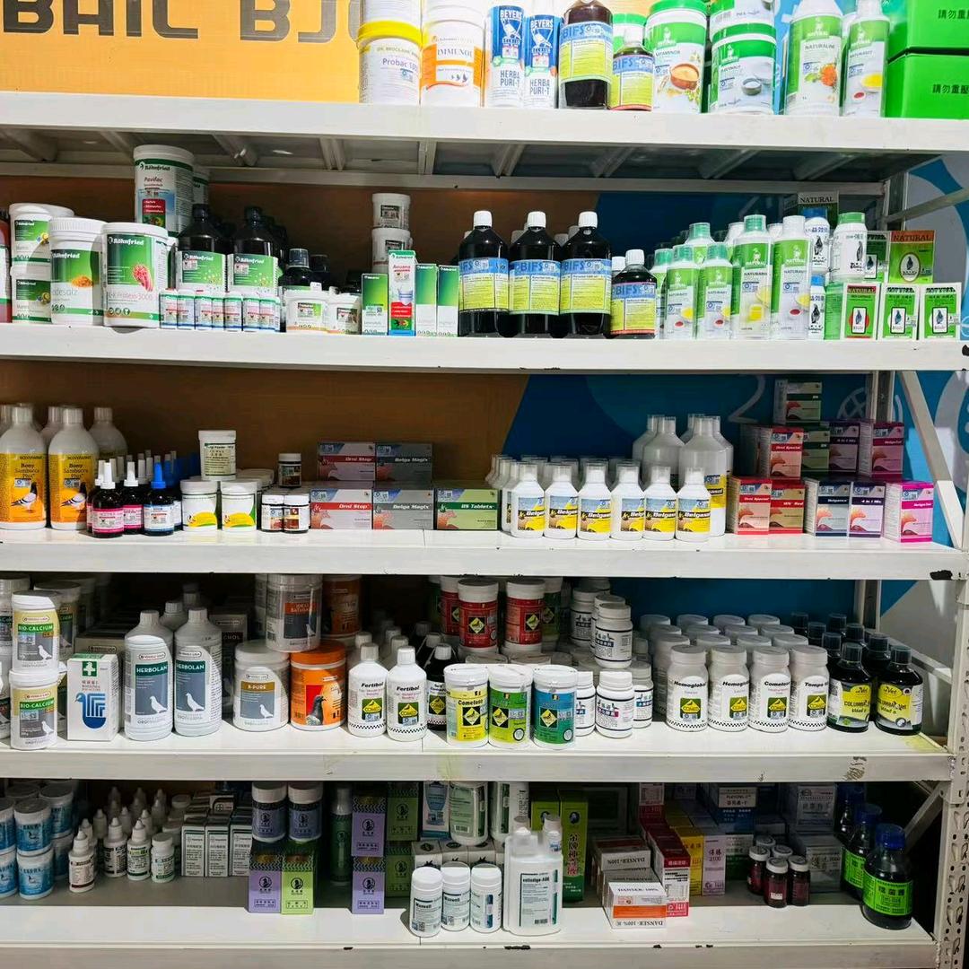 定赢赛鸽鹦鹉用品店