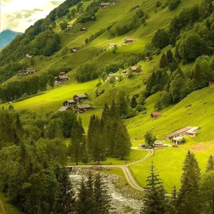 🎤🇨🇳雪中情🎻