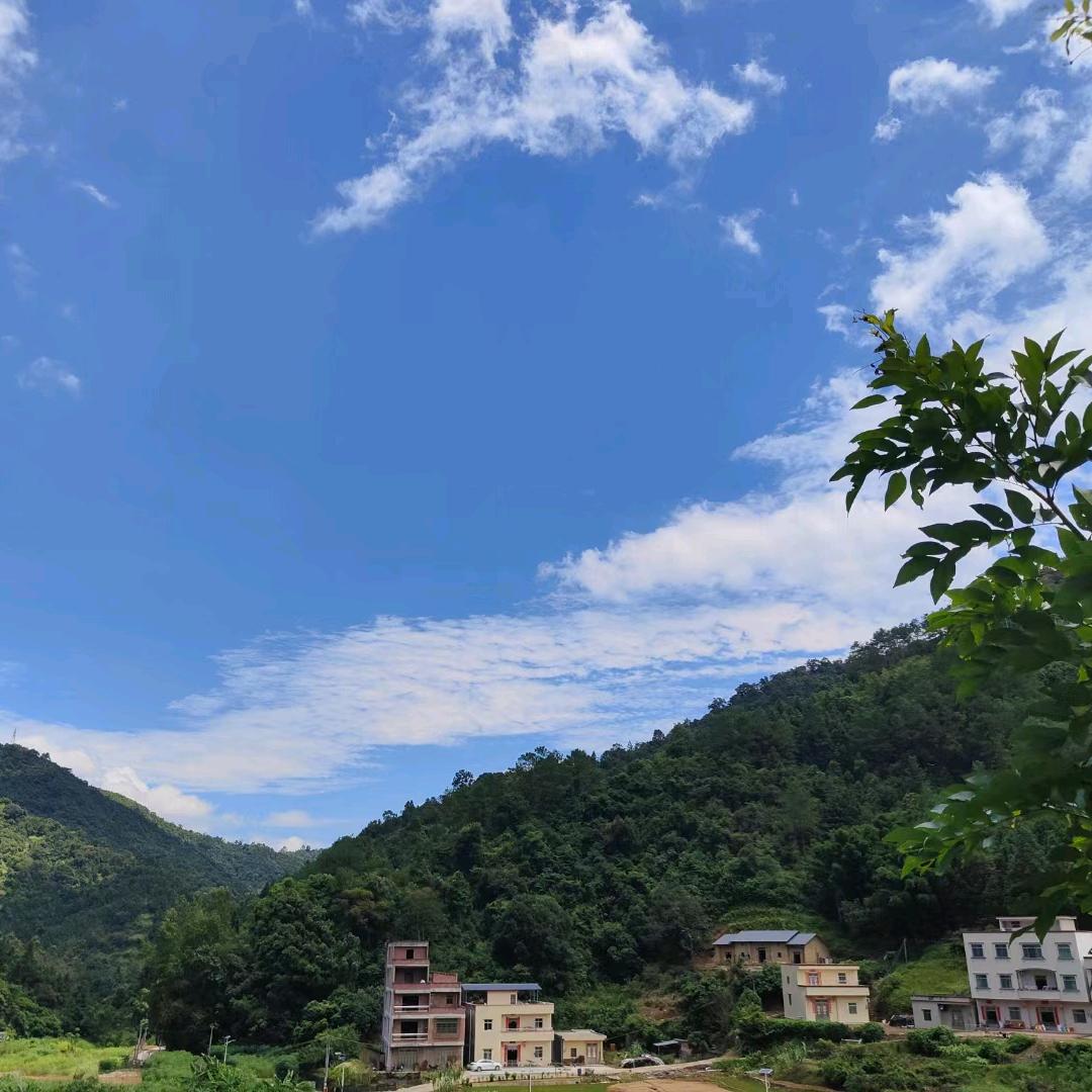 杨妹妹爱追剧