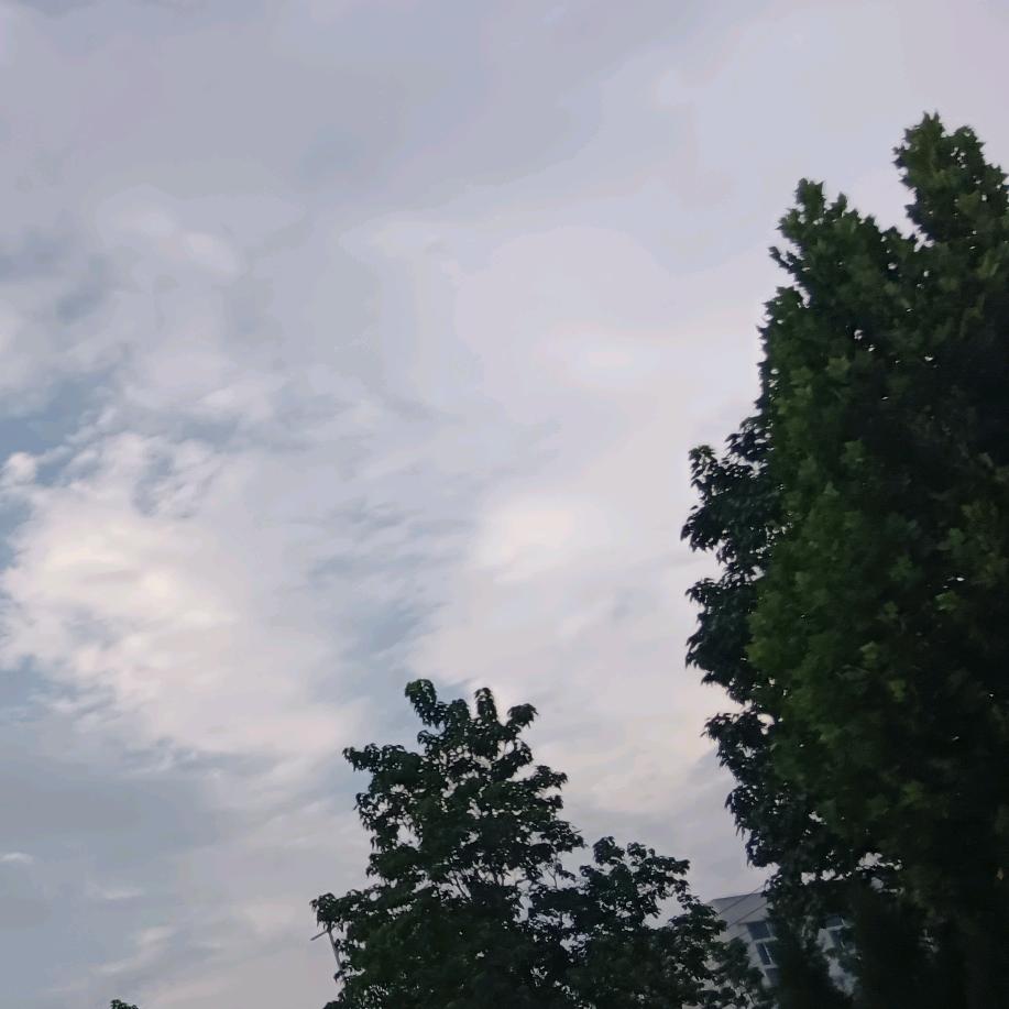 一个平凡的普通人