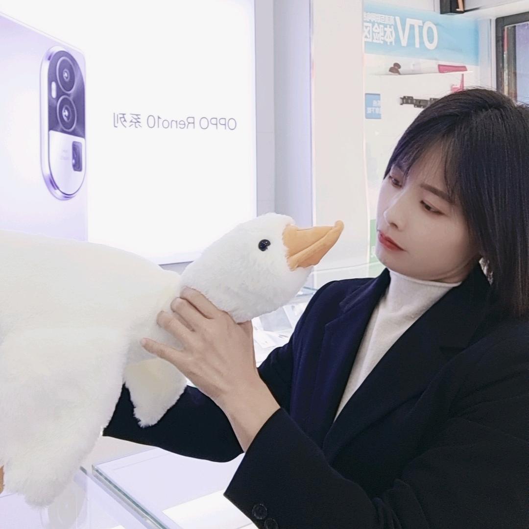 龙池东兴通讯手机店-大大彭