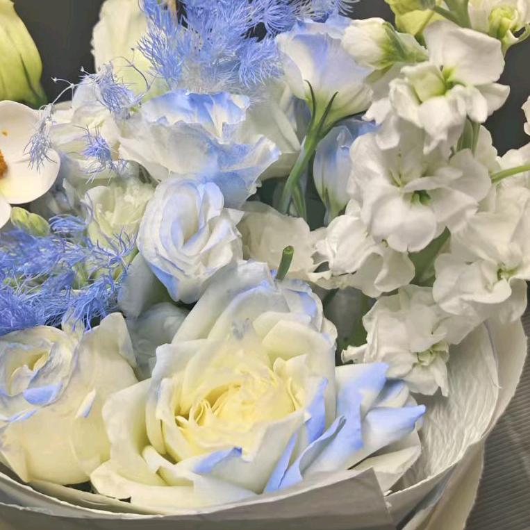 ₍˄·͈༝·͈˄*₎◞ ̑̑