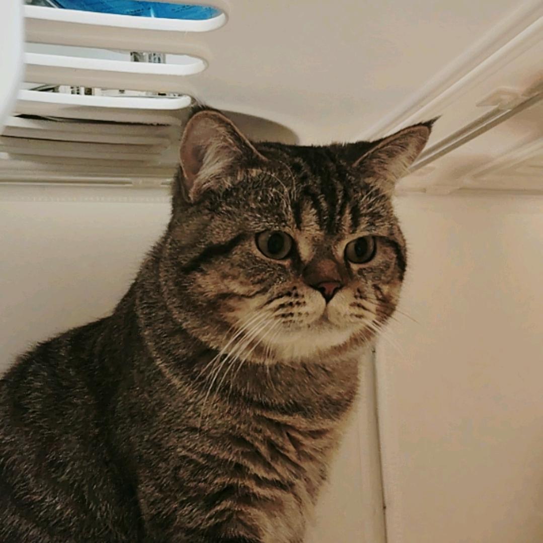 Coco（自律！）