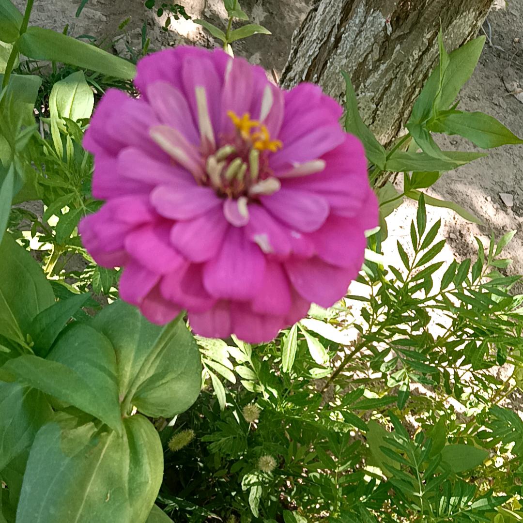 一生平安