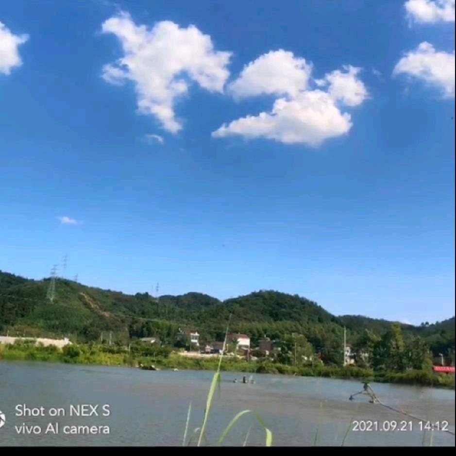 悠悠