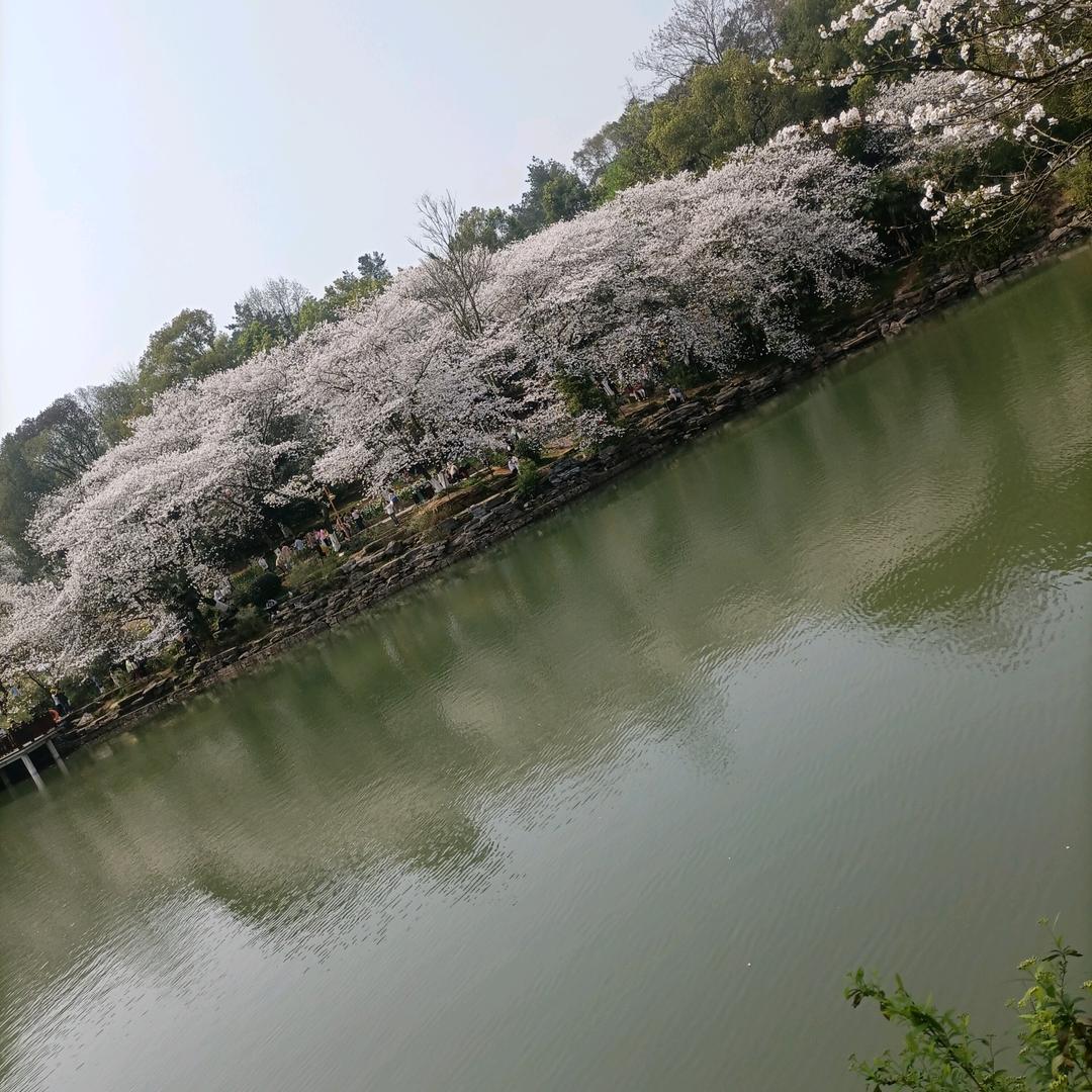 廖。淼辉