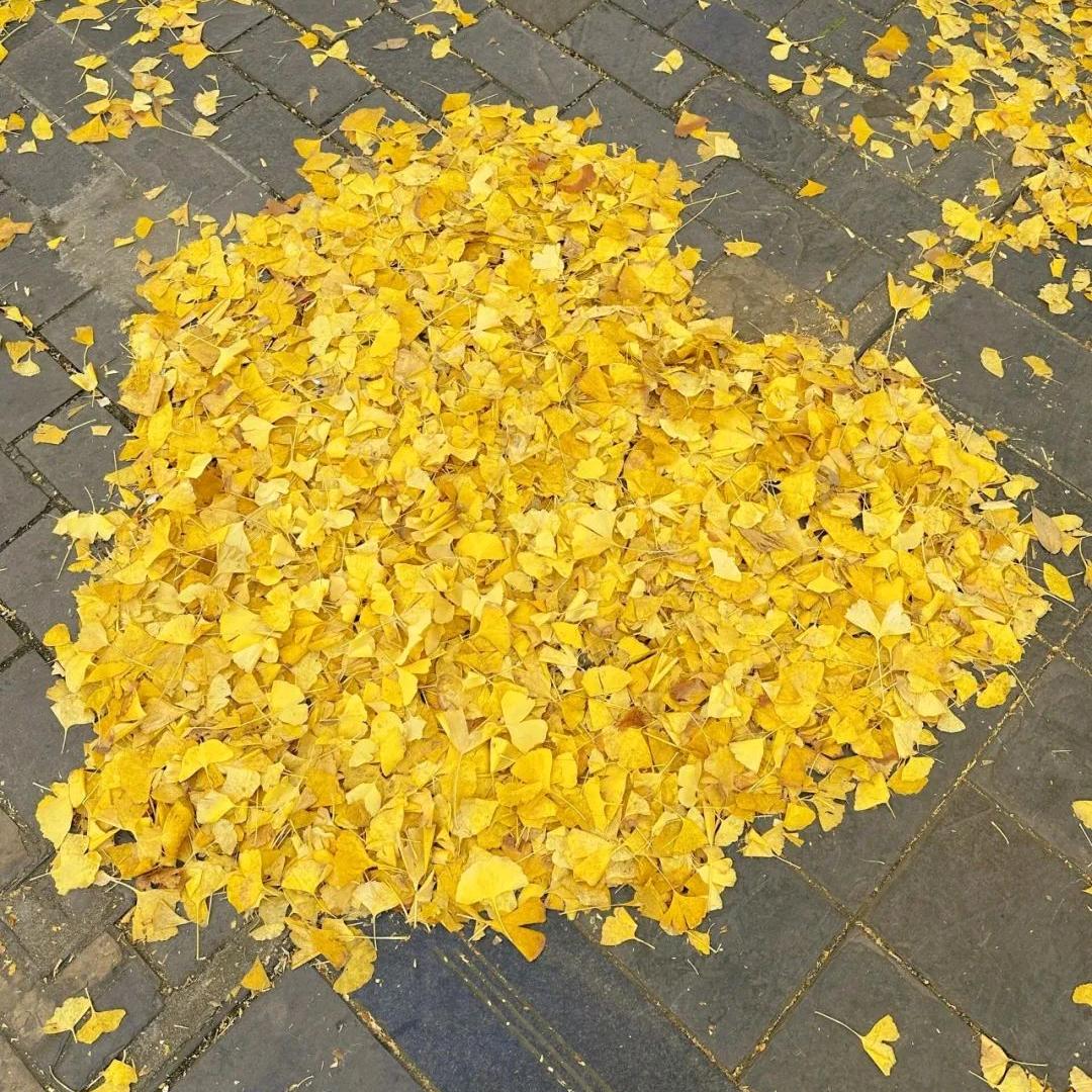 平安喜乐
