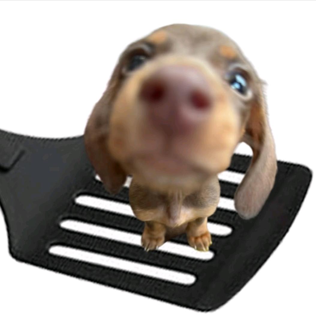 词钰