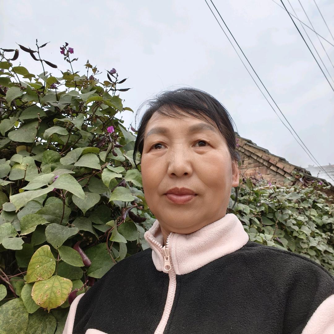 赵姐首播