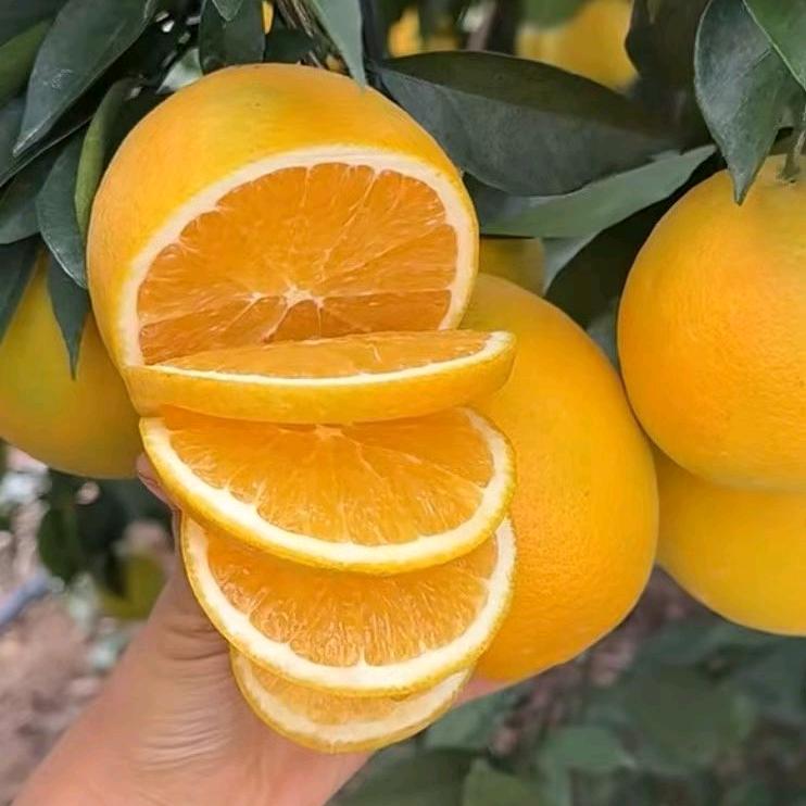 一根线缝个🧡