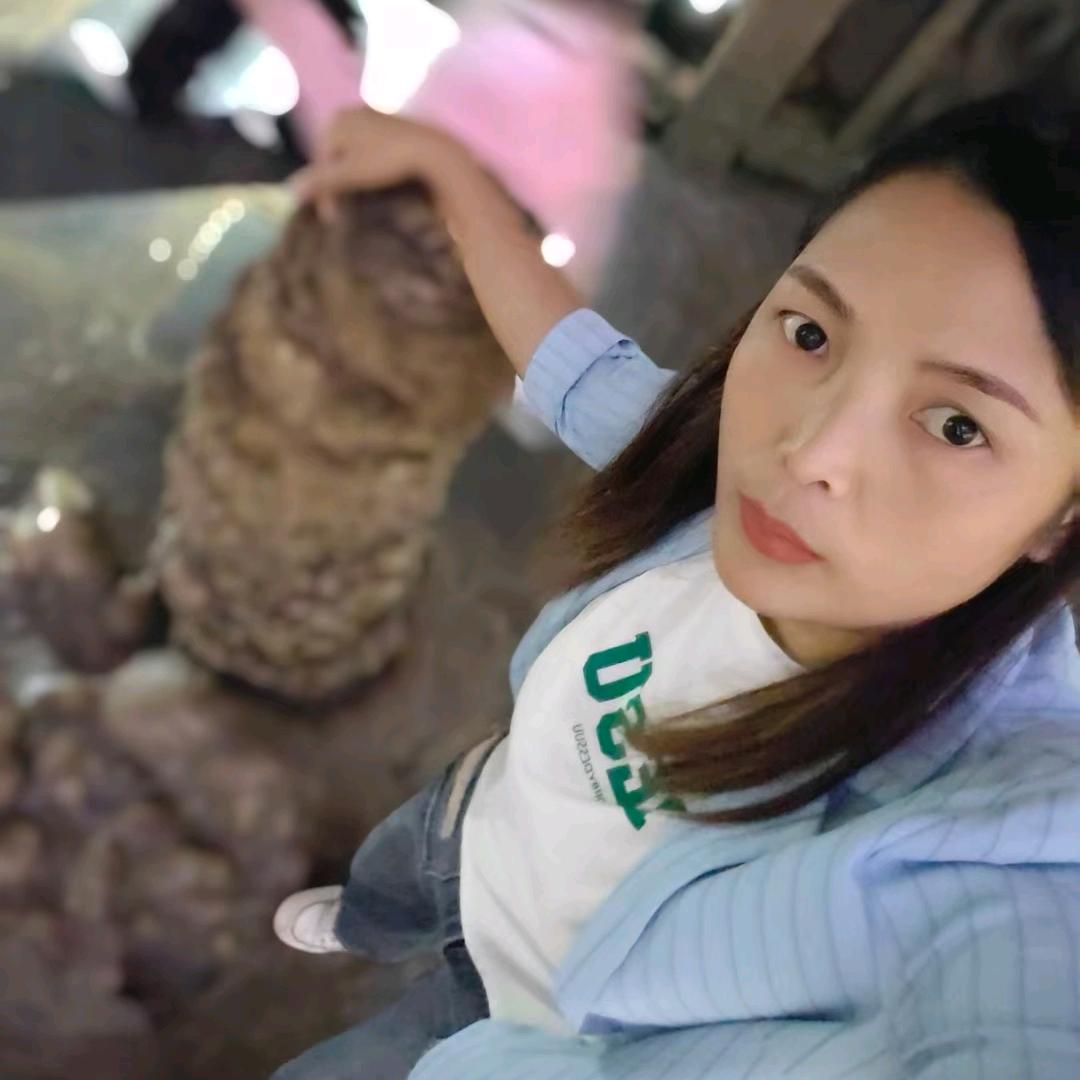 冷月碎心