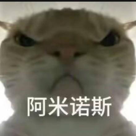 爆炒荷花（三角洲）