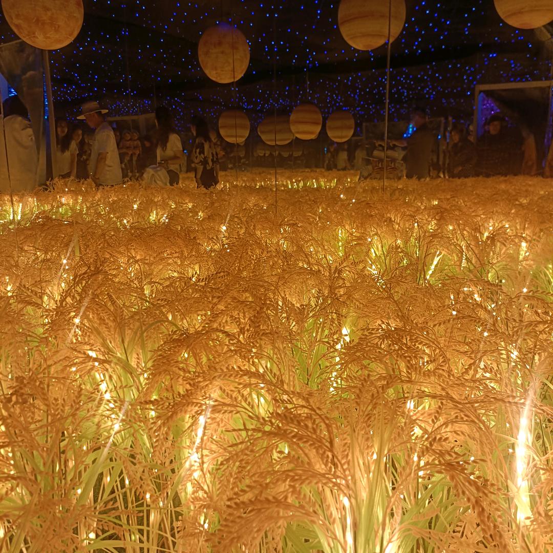 微笑时埋葬眼泪的归宿 😭