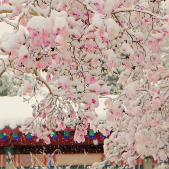 ☞程☜❤️☞程☜意