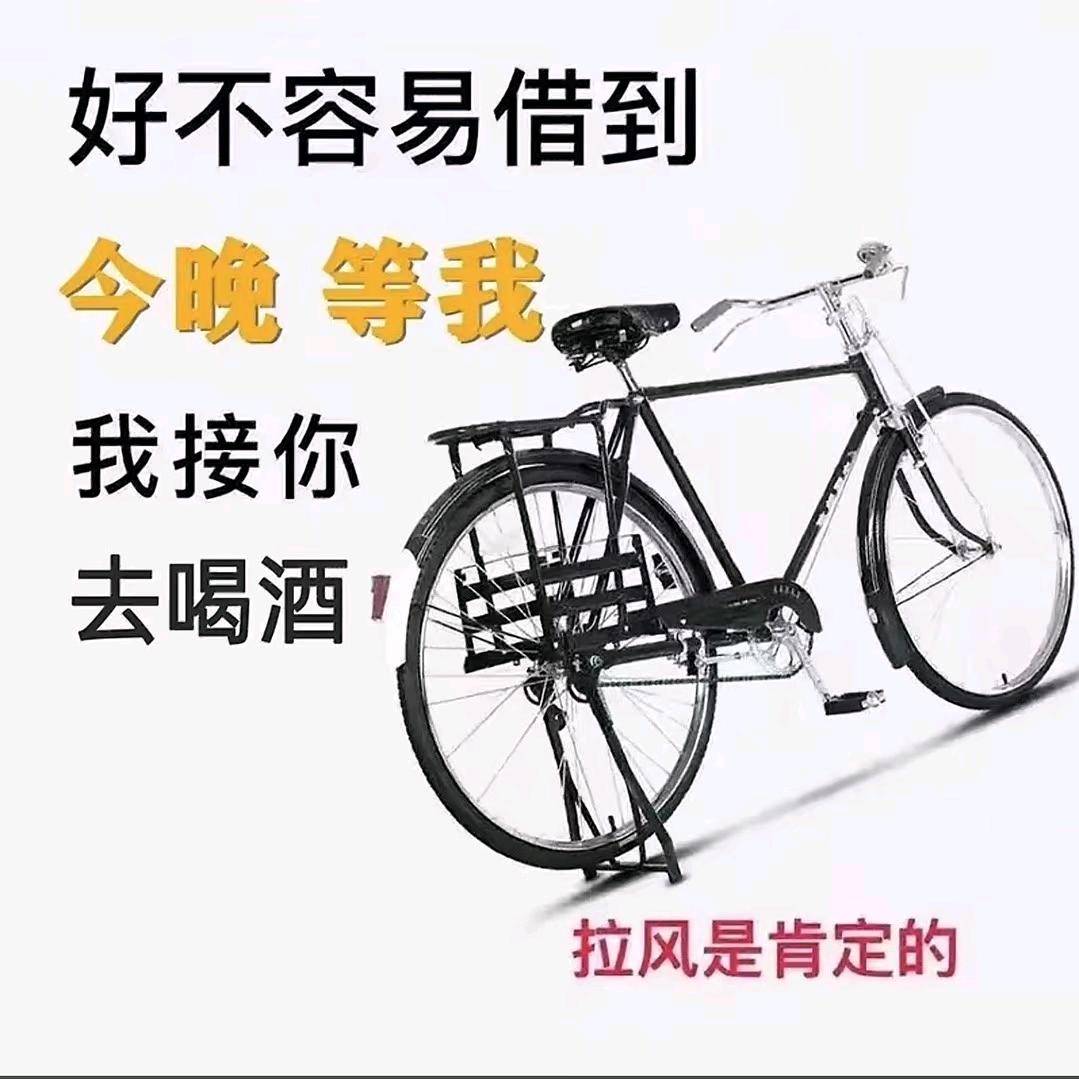 东东汤圆儿