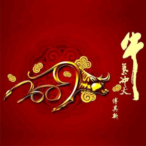 曾姐，戏剧人生