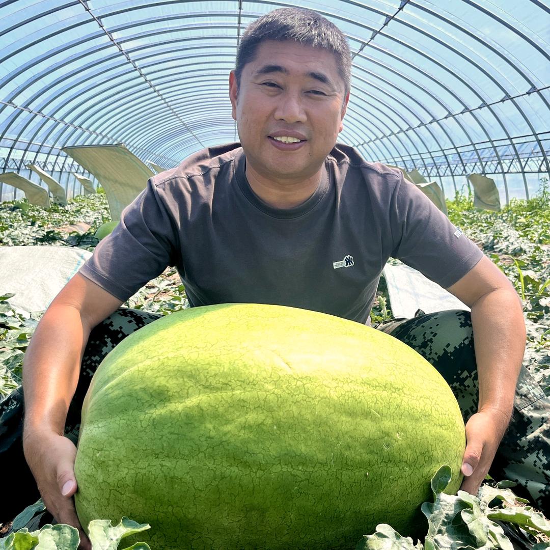老齐的百斤瓜