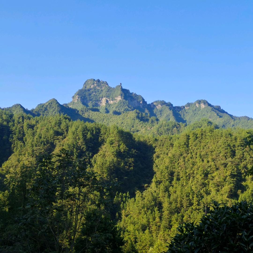 冉崇悦