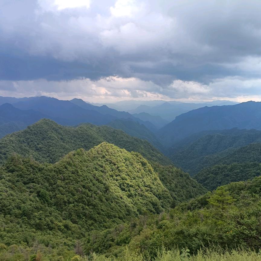清醒
