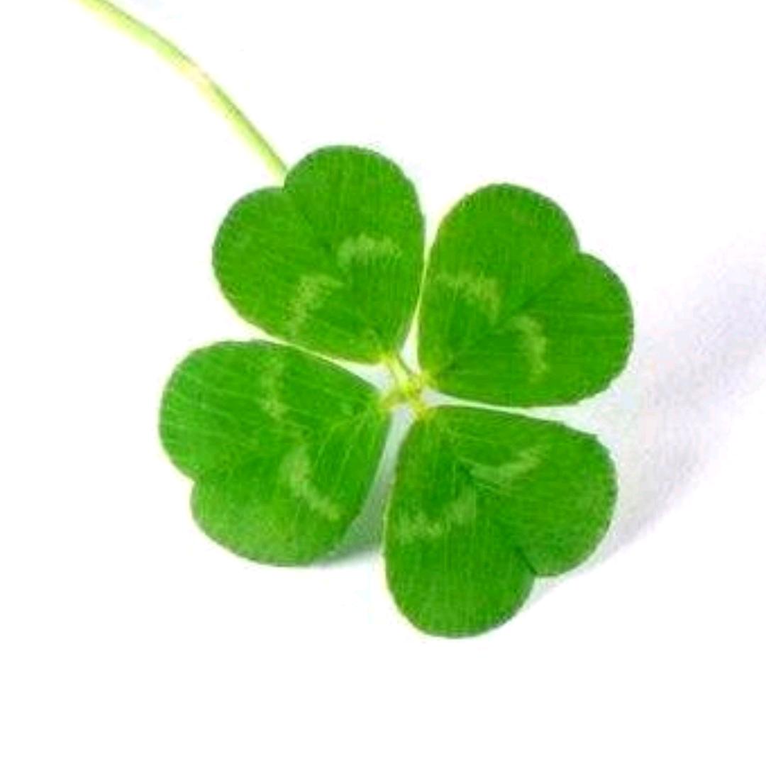 🍀再煩也别忘记微笑😊