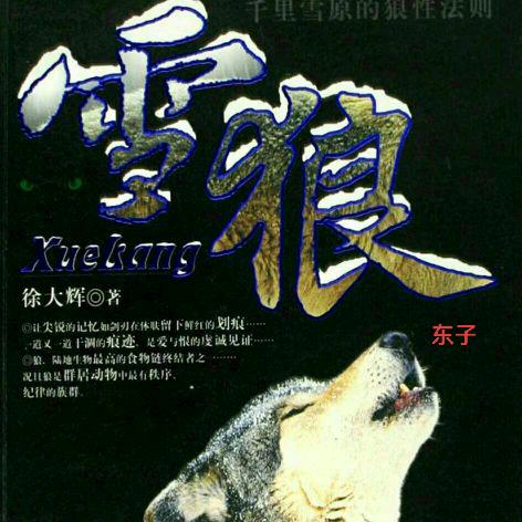 〖冰缘雪狼〗东子！