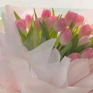 LFX绵阳黄金珠宝小谢