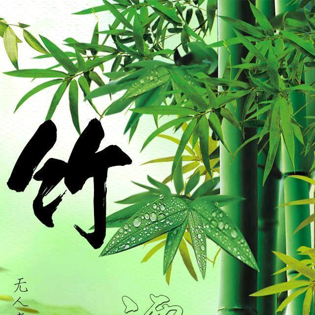 竹儿摇曳