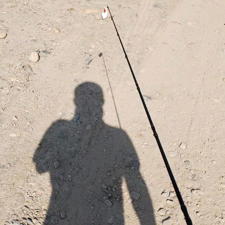 嘿！讲道李🎣