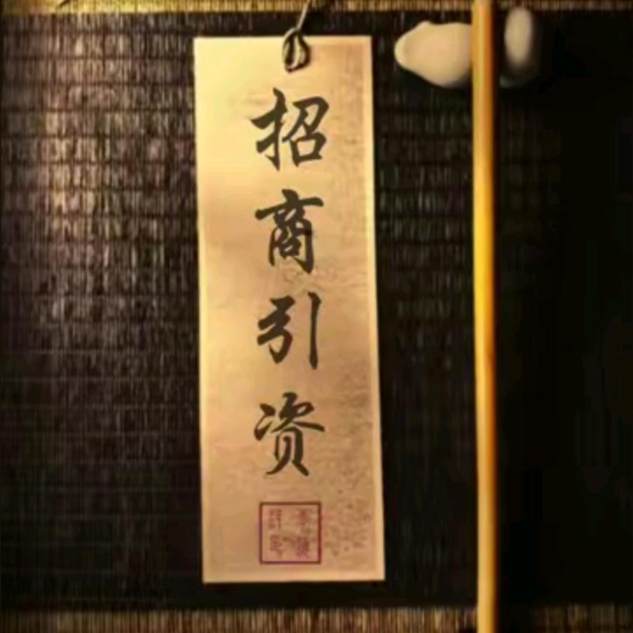 投/融/孵～咨询