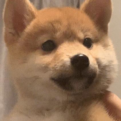 诀小池