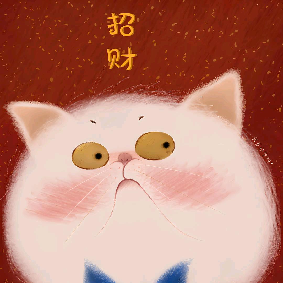 酷乐猫