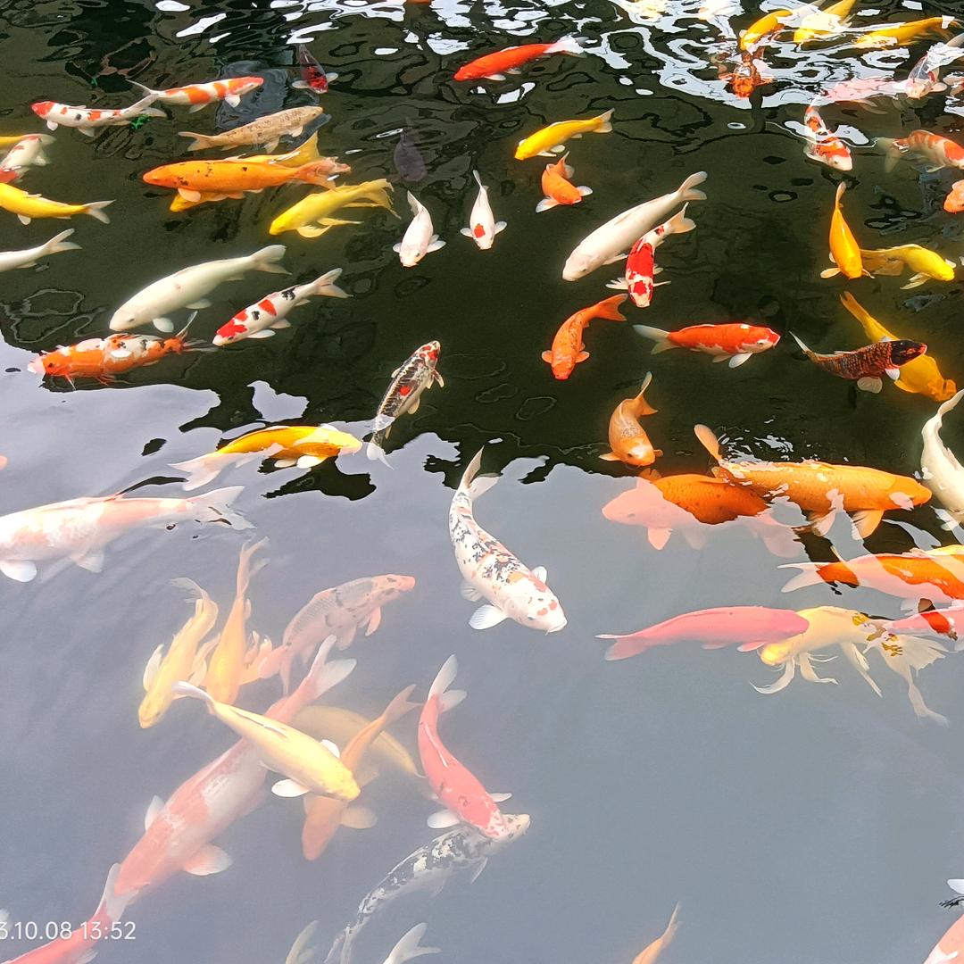 财神爷会保佑忠实的信徒小程