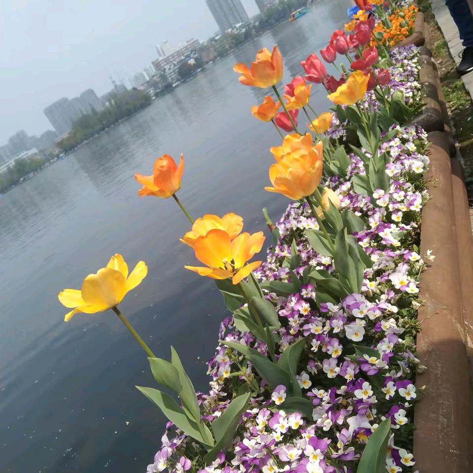瓶瓶