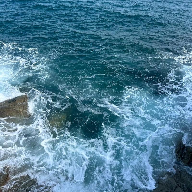 正宗湖南牛肉粉官方号