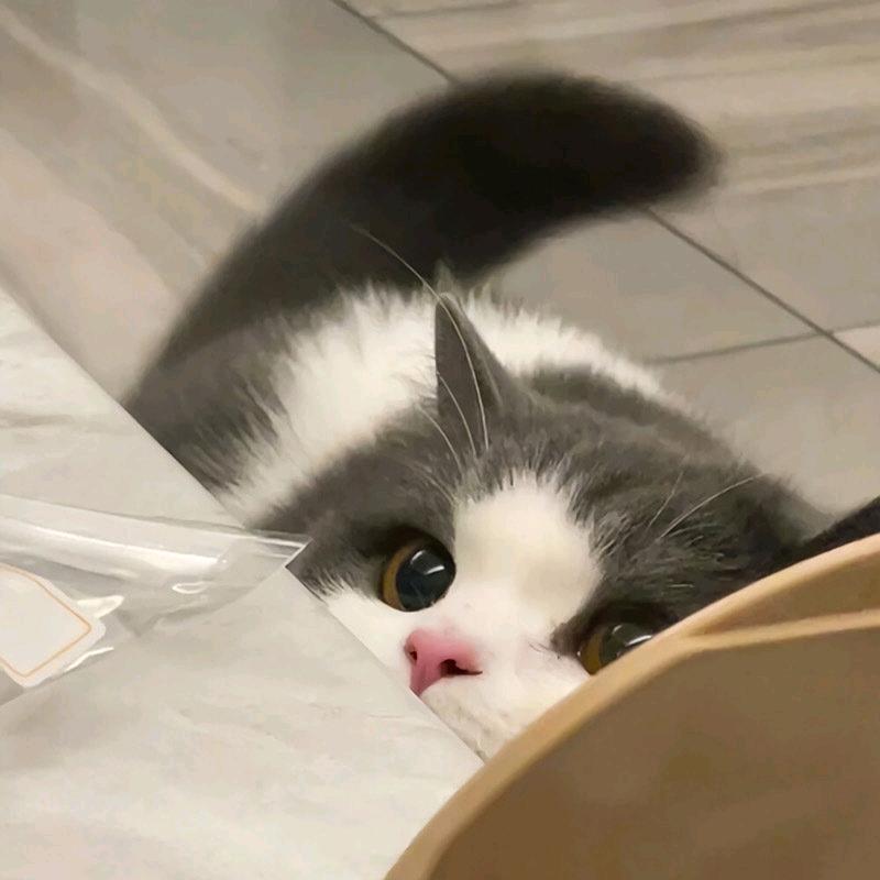 小寻