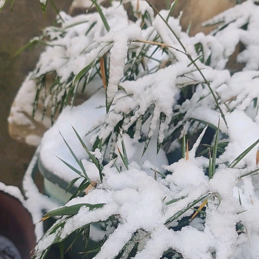 💕💕爱从陪伴开始💕💕