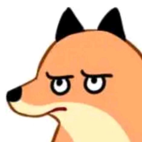 狸子
