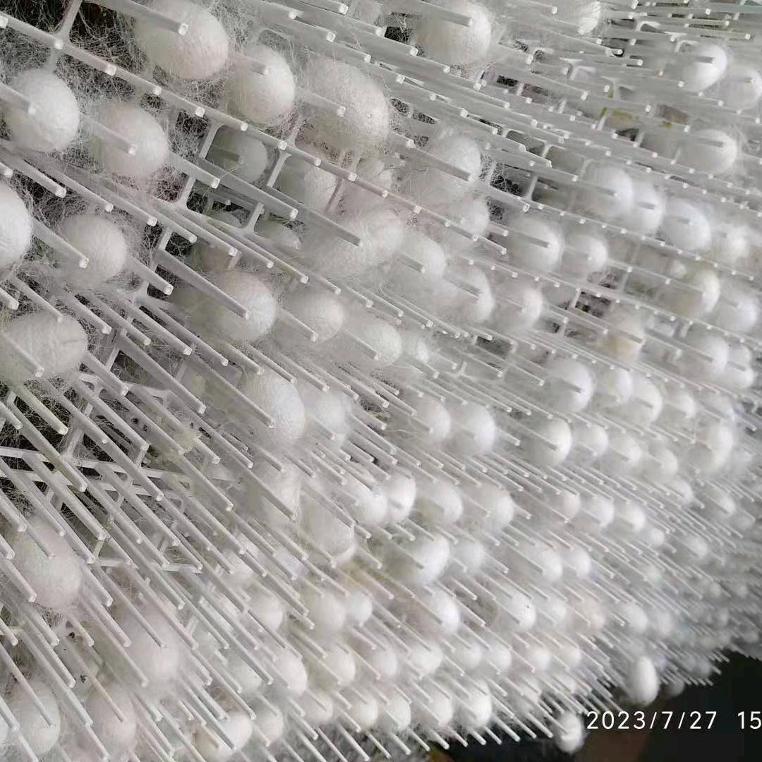 总司令（蚕桑设备供应商）