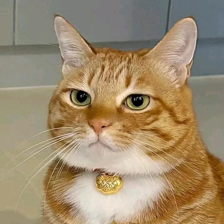 叁一