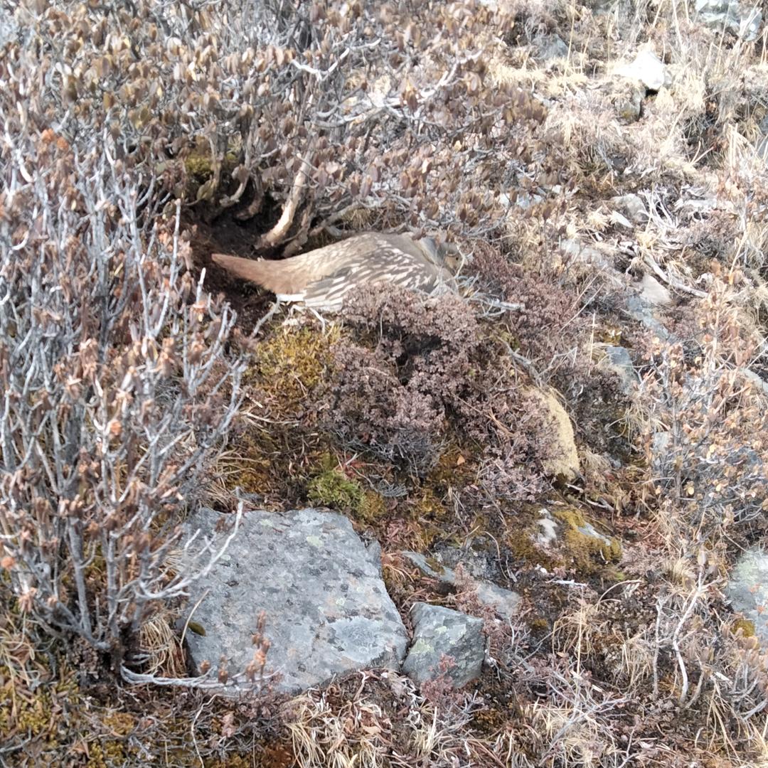 为了孩子加油！💪💪💪1376