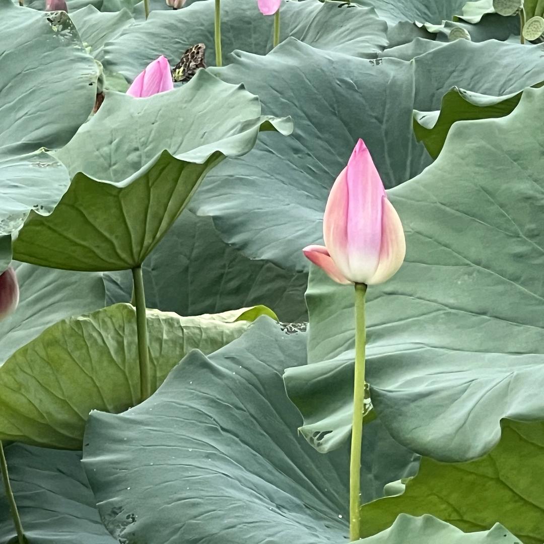 广安乖宝宝母婴店