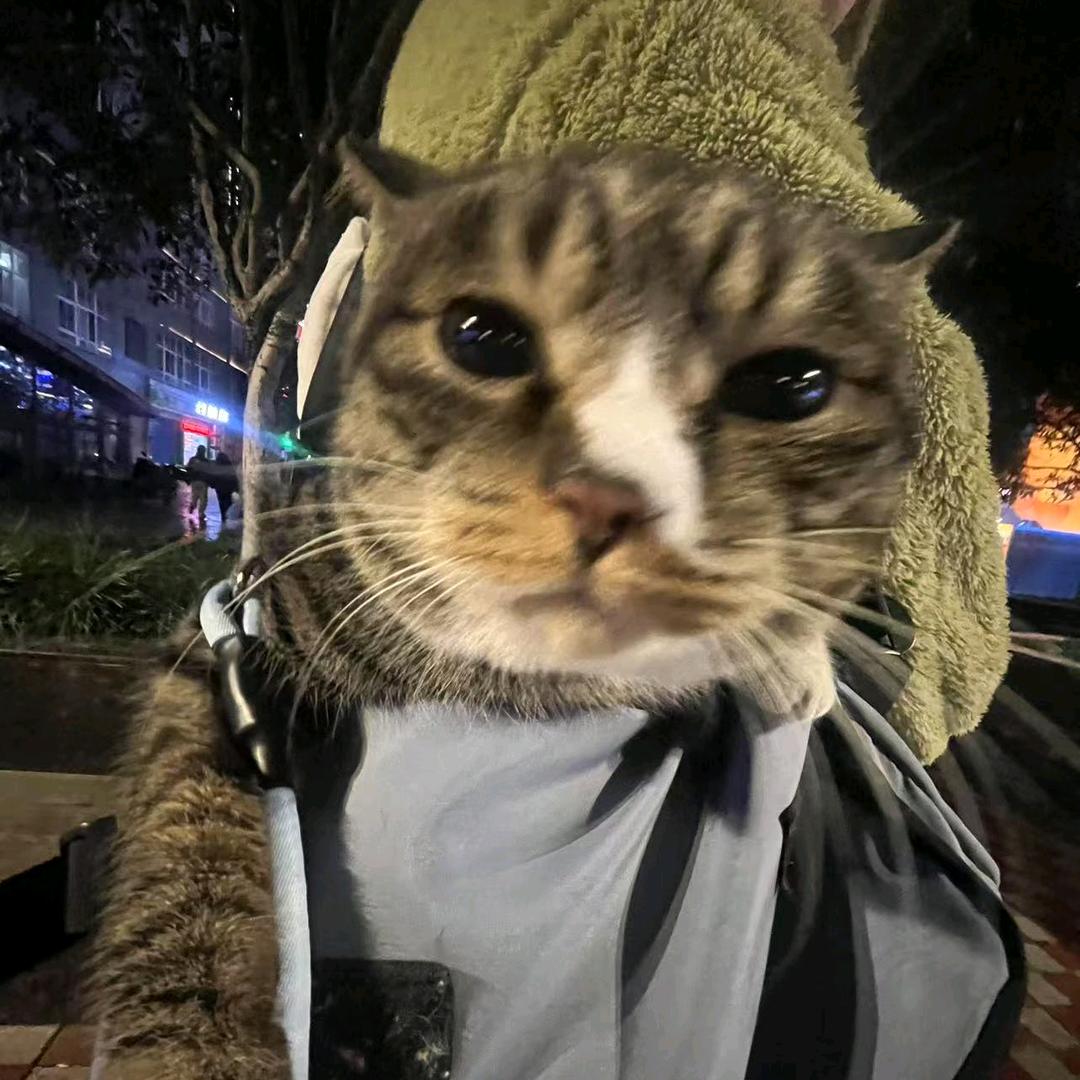 消失的袁英俊（是女生）