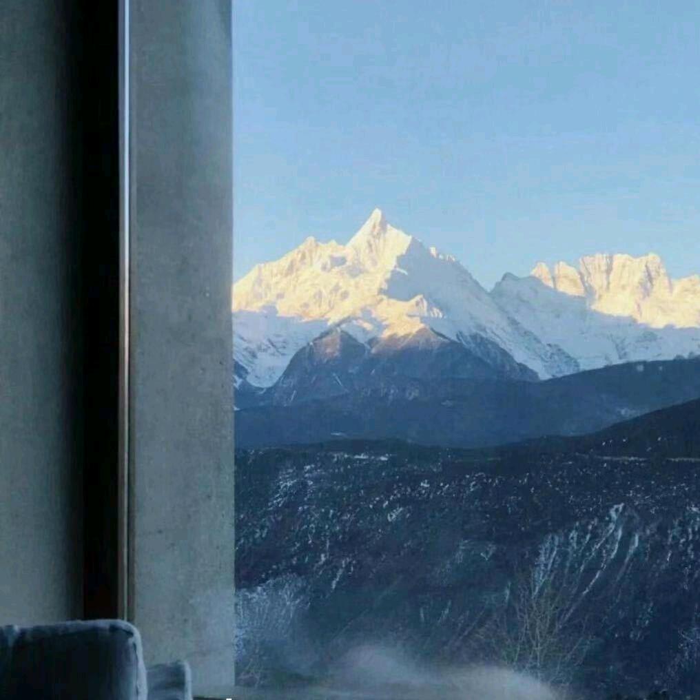 李老师高考志愿通