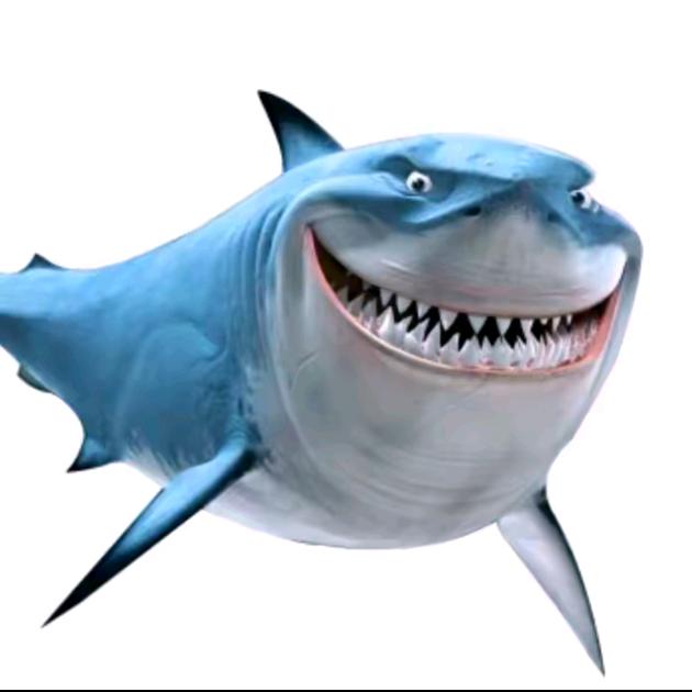 鲸鲨国际海外仓