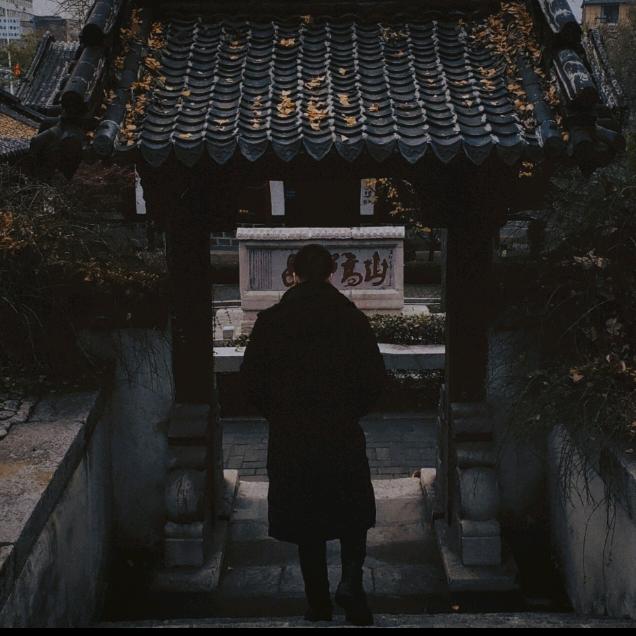 胖泽.