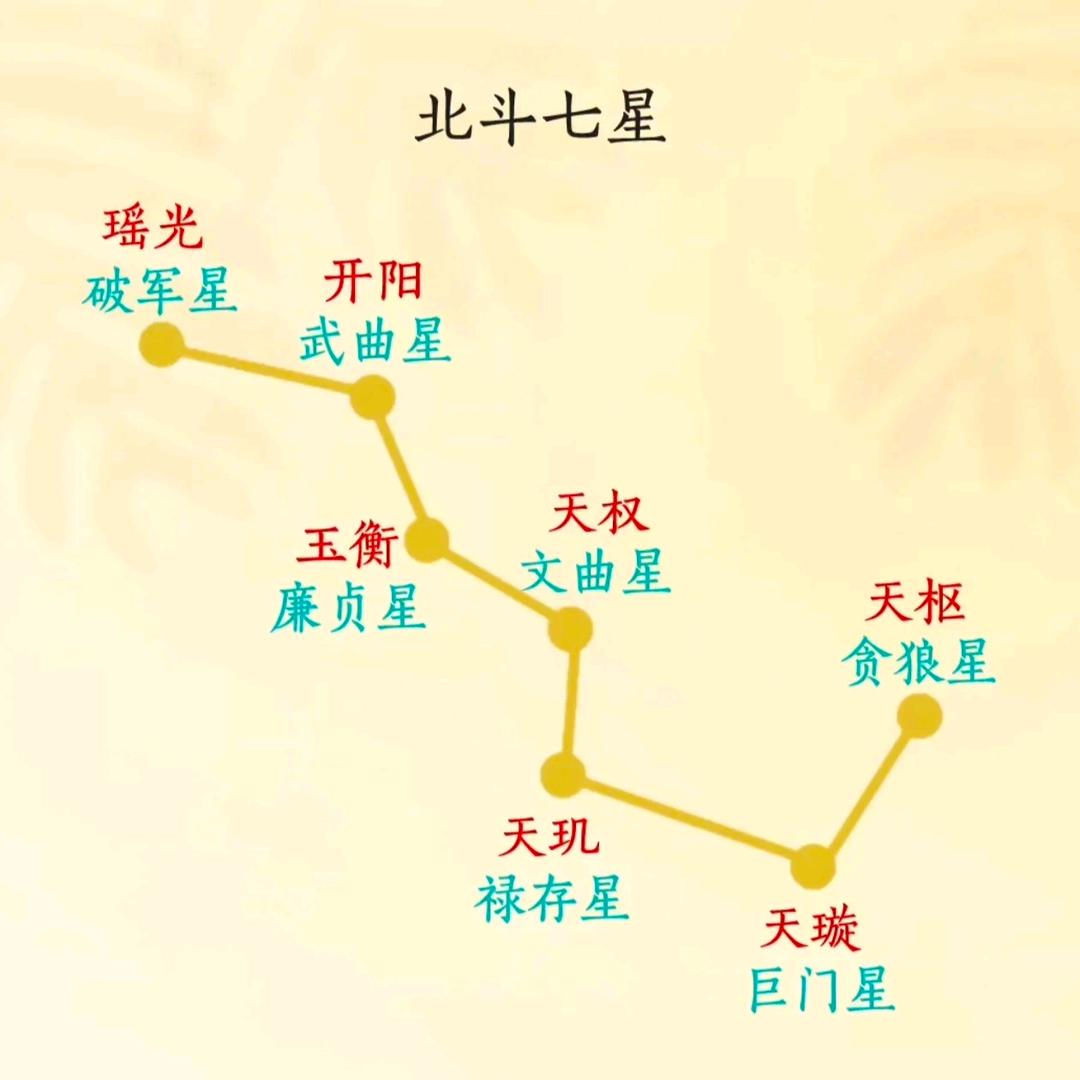 紫乙竹