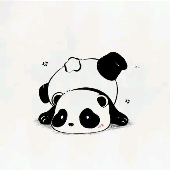 肿么肥四